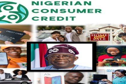 Image shows Nigerian consumer credit