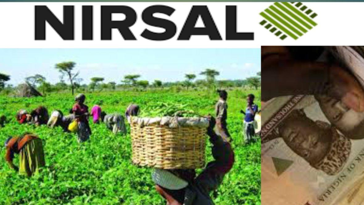 Image shows Nirsal in preparation to fund 100,000 farmers