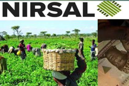 Image shows Nirsal in preparation to fund 100,000 farmers